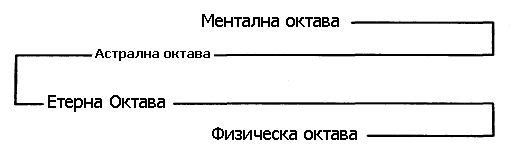 oktawi
